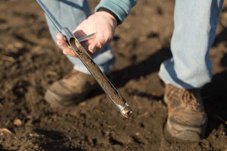 Sampling Services Water Soil Leaf Damara Bio Agri sampling-services-water-soil-leaf-damara-bio-agri